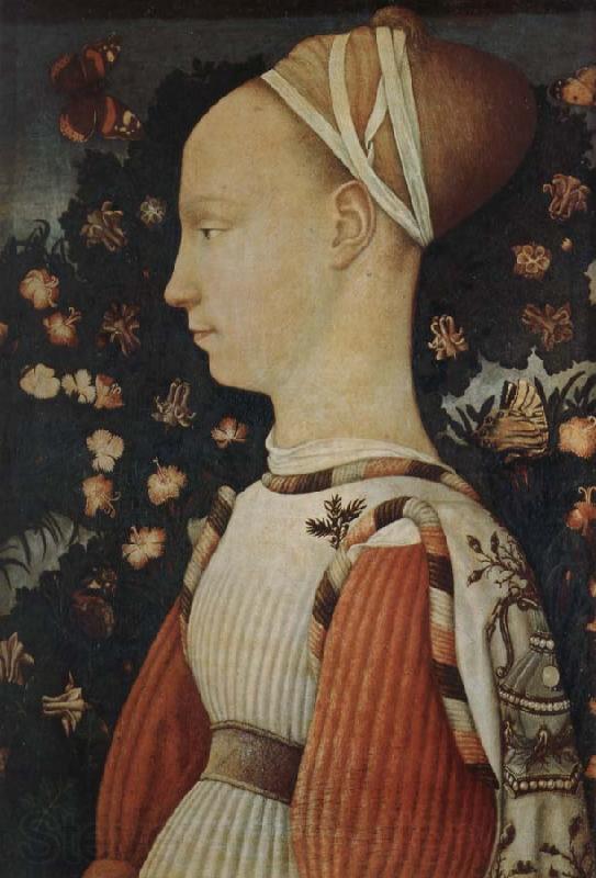 Antonio Pisanello A portrait of a young princess Norge oil painting art